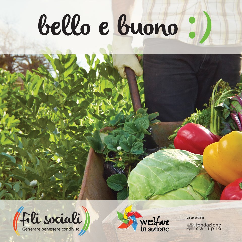 Fili Sociali: Welfare Di Comunità In Bergamo